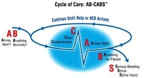 EFR Primary and Secondary Care