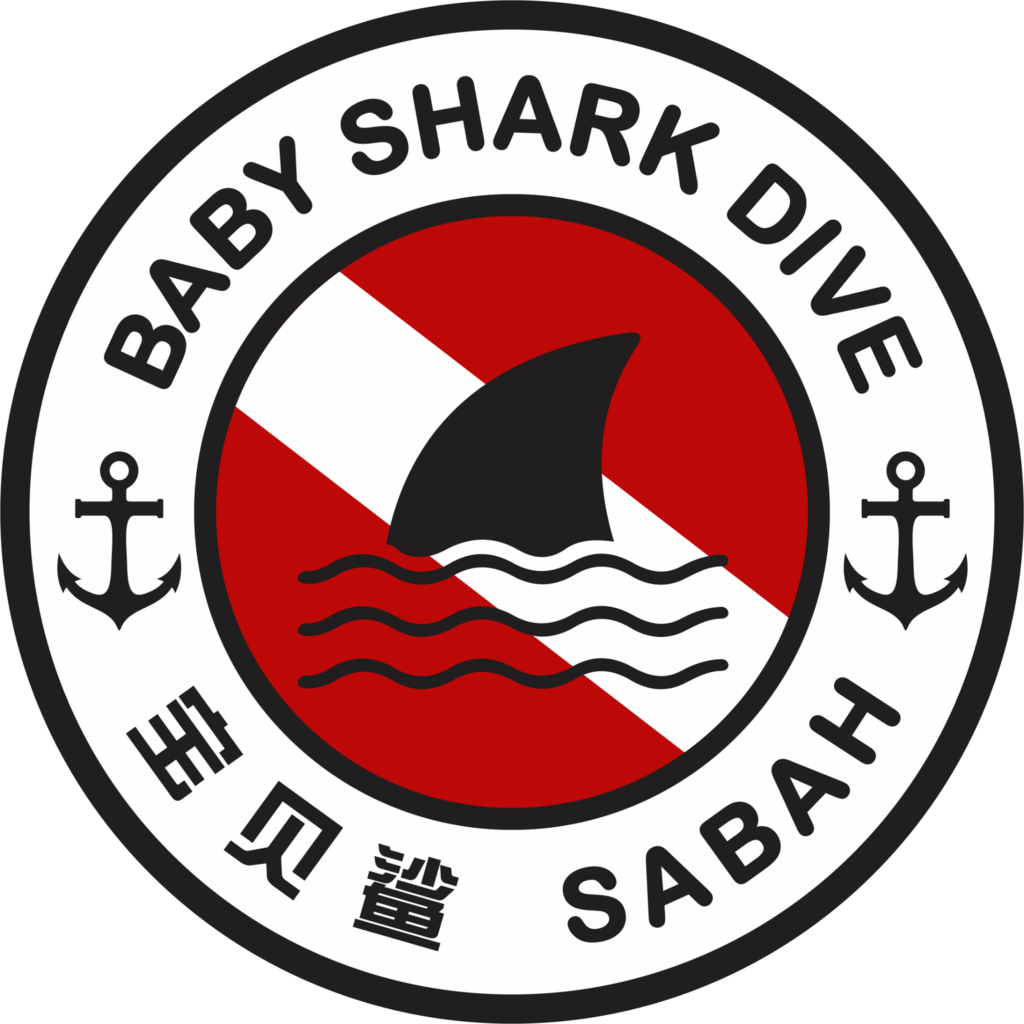 Baby Shark Dive Centre