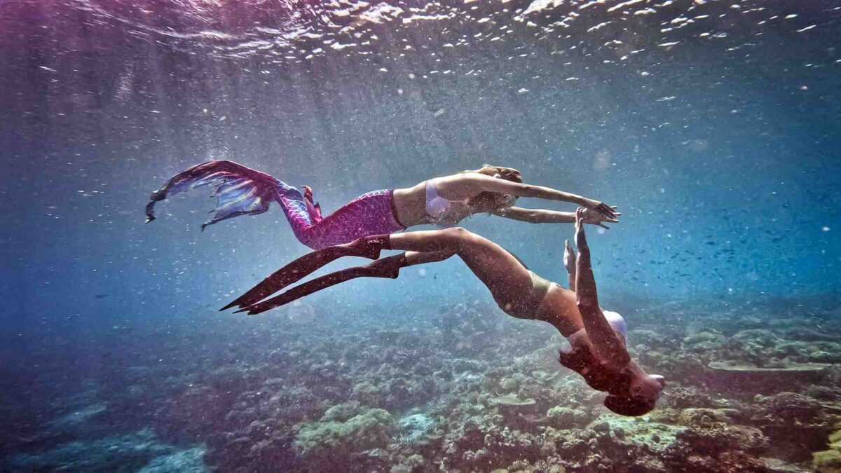 PADI Mermaid Courses in Malaysia Which Course Is Right For You. Speak with Malaysia Mermaid Club to help guide your choice